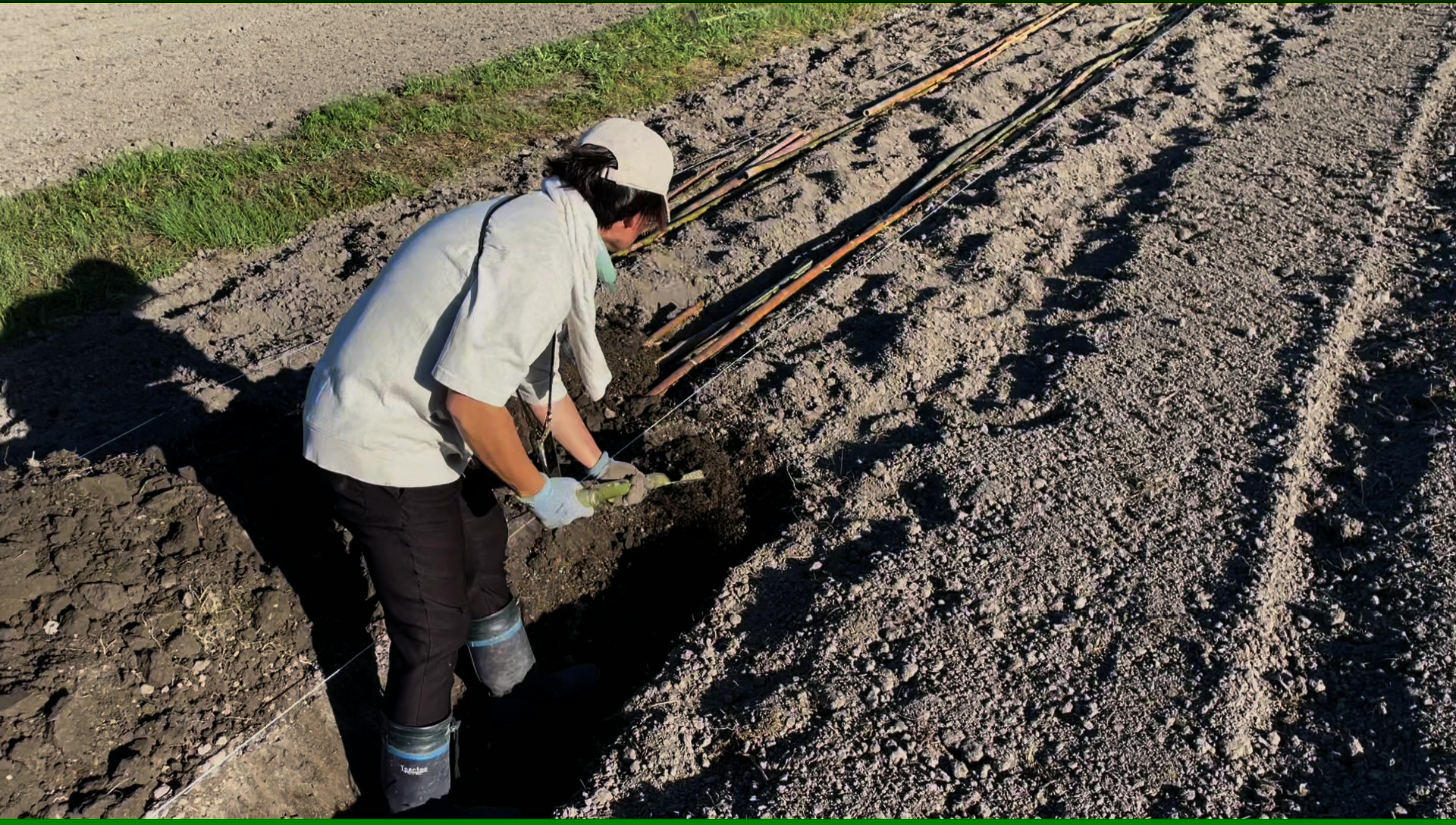 菌ちゃん畝の作成