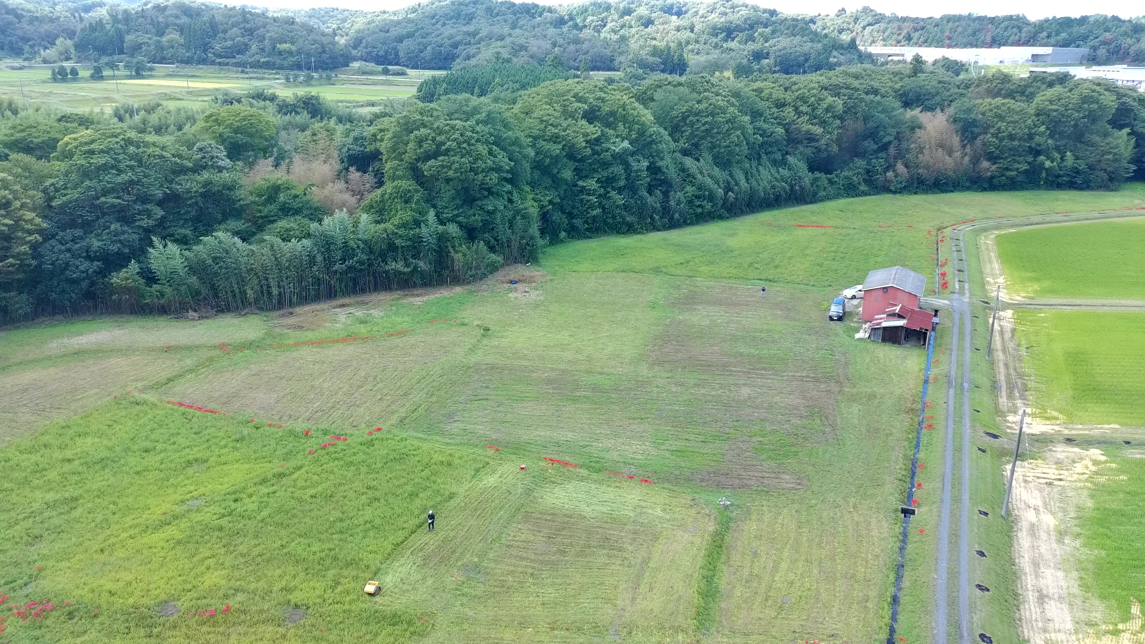 有機農園の様子
