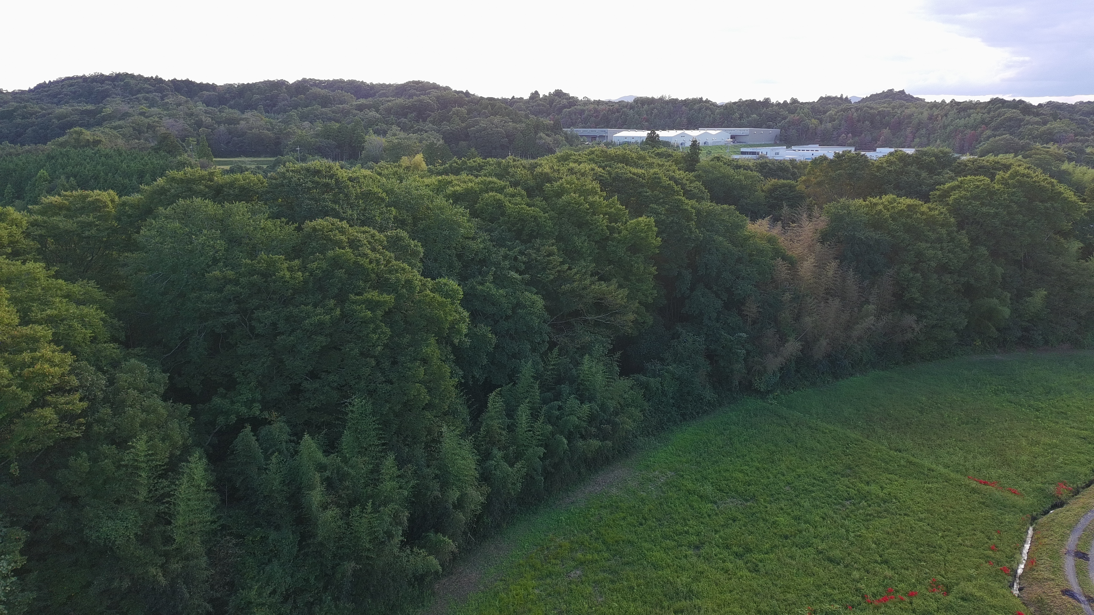 上空から見た畑と周囲の田園
